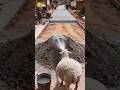 बकरी इंजीनियर #youtubeshorts #shortsfeed #comedy #ytshorts