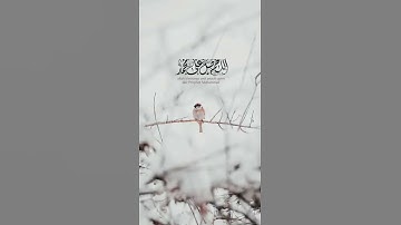 مقاطع قرآن كريم / إن الله وملائكته يصلون على النبي يا أيها الذين آمنوا صلوا عليه وسلموا تسليما .