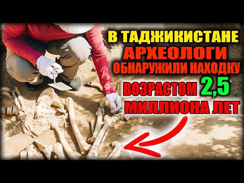 В Таджикистане археологи обнаружили находку возрастом 2,5 миллиона лет