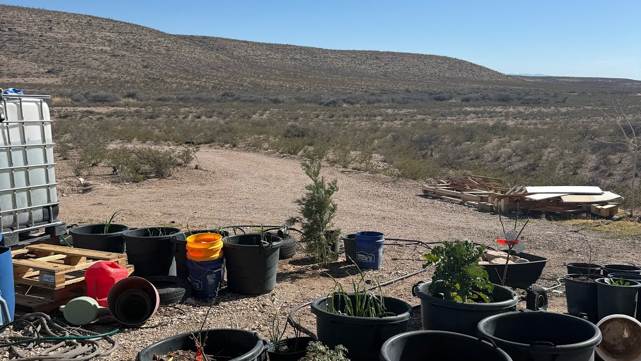 Winter Heat Wave in the High Desert?! 🌵🔥 Planting Trees & Seeds Off Grid