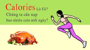 Calories là gì? | Chúng ta thực sự cần bao nhiêu Calo mỗi ngày? | Hiểu rõ trong 5 phút