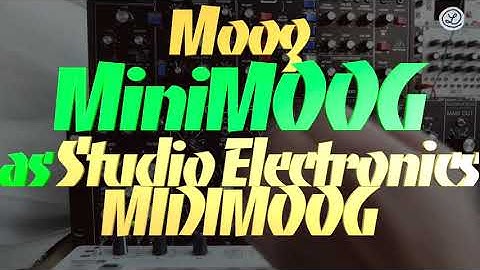 BEHRINGER MODEL D vs. MOOG MINIMOOG as SE MIDIMOOG