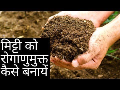 वीडियो: मेरा बरम छोटा हो रहा है: बरम में मिट्टी बसने के बारे में क्या करना है