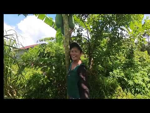 a day in my life here in the Province