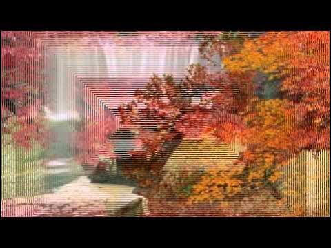 Шопен шум дождя. Блюз дождя. Лавочка и дождь. Фредерик шопен вальс дождя. Фредерик шопен вальс дождя.