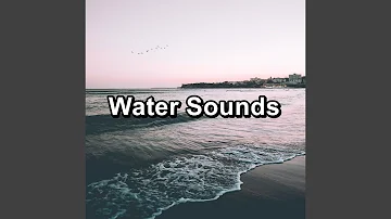 The Endless Ocean Sounds