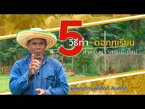 5 วิธีทำ ดอกทุเรียน สำหรับชาวสวนมือใหม่ : ต้นไม้และสวน TV