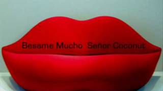 BESAME MUCHO ~ Señor Coconut  [Latin Lounge]