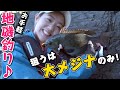 GO!GO!九ちゃんフィッシング #380　「メジナ大漁！磯釣り2020　後篇　中メジナからの大メジナ!?」