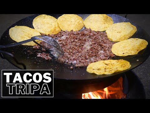 Vídeo: Què és exactament la tripa?