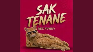 Saktenane