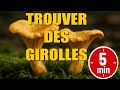 Ref:YtxSSb9EmEM Trouver des girolles en 5 min