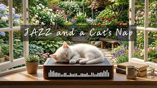 JAZZ and a Cat's Nap / Cozy BGM for Drowsy Hours