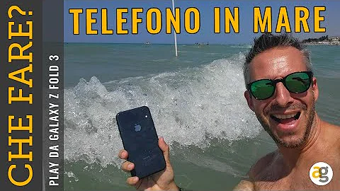 Quanto tempo deve stare il cell nel riso?