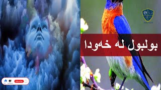 خەوننامەی کوردی، بەشی بە؛ بولبول: