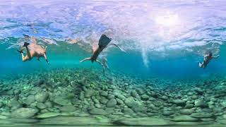 Sunlight Beneath the Mediterranean Looks Completely Different | 360° Underwater 8K