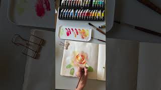 Sketch of a Rose #watercolor