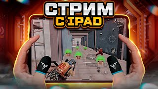 CHEBA vs NWEALESS // СЕГОДНЯ ВСЁ РЕШИТСЯ!