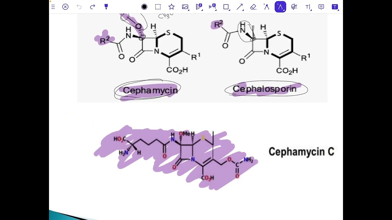 Pharmaceutical chemistry(cephalosporin second generation) عضوية وزاري مرحلة رابعة صيدلة