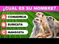 ¿CUÁL ES SU NOMBRE? |ENCUENTRA LA PALABRA| Pon a prueba tu vocabulario