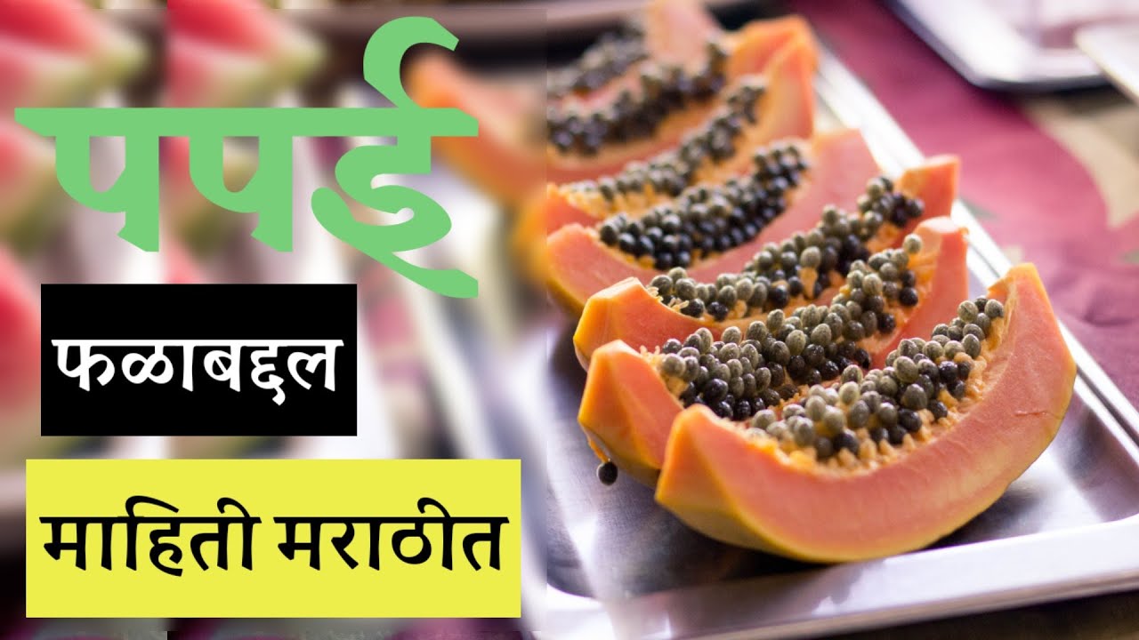 पपई फळाबद्दल माहिती मराठीत । Papaya Information in Marathi YouTube