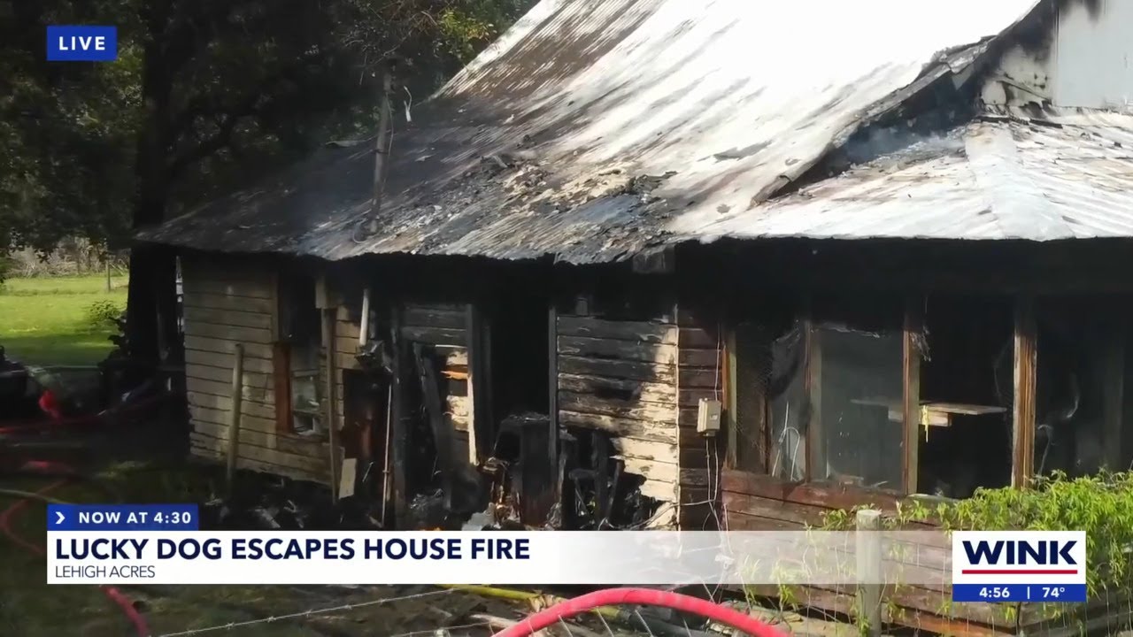 Lucky dog escapes house fire YouTube