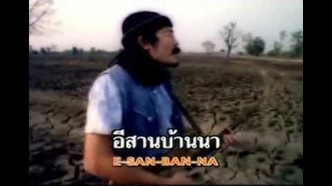 Thumbnail of ไข่มดแดง  วงซูซู