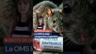 AHORA SÍ SOMOS POTENCIA: La OMS pidió que Argentina recapacite por el brote de Hantavirus