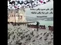 حمام يلي غصون