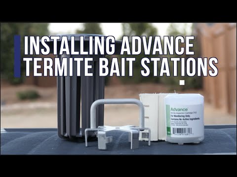 How To Install Advance Termite Bait Stations 