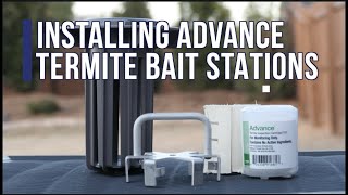 How To Install Advance Termite Bait Stations by Do-It-Yourself Pest Control 11,901 views 1 year ago 1 minute, 42 seconds