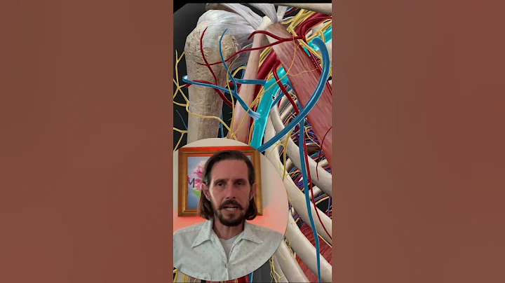 Anatomy for yoga teachers thumbnail