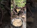 Hadzabe Tribe Bushmen Chabba Is The Best Chef In Their Traditional Lifestyle In The Bush 