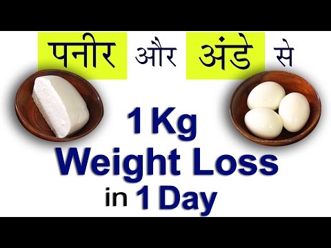 1 Kg Weight Loss in 1 Day | सिर्फ Paneer और Eggs से | Diet Plan to Lose Weight Fast | Hindi Video