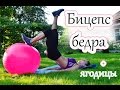 Упражнения для ног в домашних условиях| БИЦЕПС БЕДРА творит ЧУДЕСА!!!