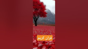قران كريم #quran #دعاء #دويتو #صباحالخير #تيك_توك #دعاءمستجاب #duet #حالاتواتس #لايك #صباح_الخير