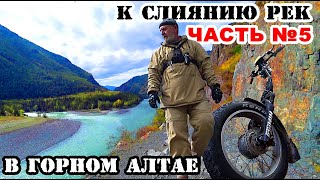 СЛИЯНИЕ Аргута с Катунью  в горном Алтае! Велопрогулка на электро велосипеде