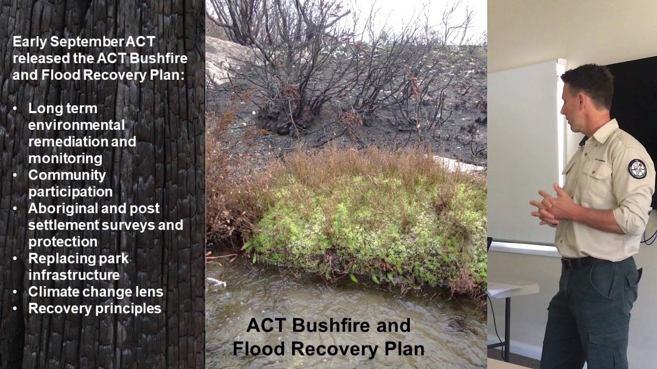 Peter Cotsell, Bushfire Recovery in the Orroral Valley ACT, 4 November 2020