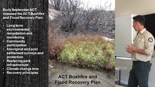 Peter Cotsell, Bushfire Recovery in the Orroral Valley ACT, 4 November 2020