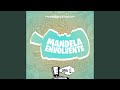 Mandela Envolvente EletroFunk Mandela Envolvente EletroFunk