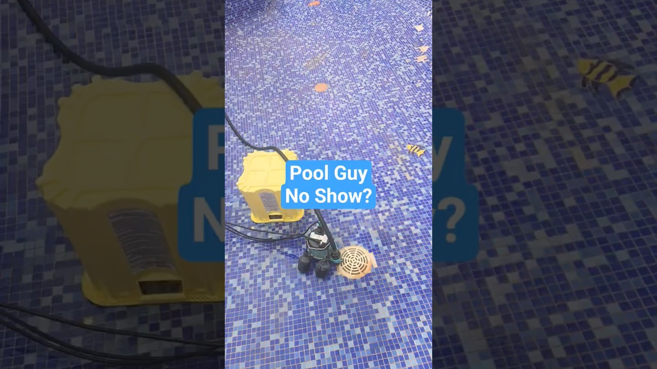 Pool Guy No Show? #poolservice #poolmaintenance #pool #swimmingpoolservices #swimmingpool #poolguy