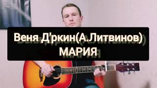 Веня Дркин(А.Литвинов) - Мария! (cover)