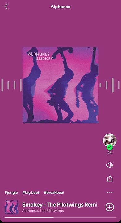 #spotifyplaylist #spotify #remix  #jungle #big beat #breakbeat #The Pilotwings #vibehigh