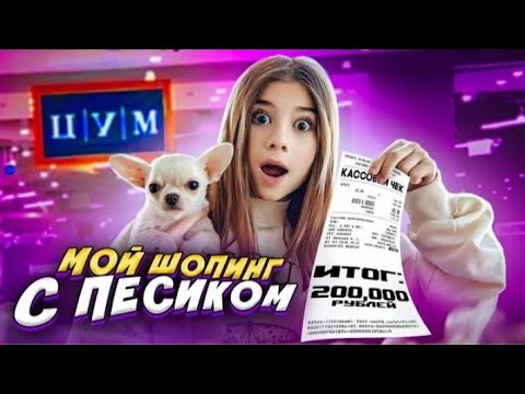 Я потратила на собаку 200 тысяч рублей__ШОК_