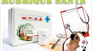 Rubrique santé: Dévoré vivant Rubrique santé: Dévoré vivant