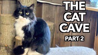 Making a Barn Cat Clubhouse