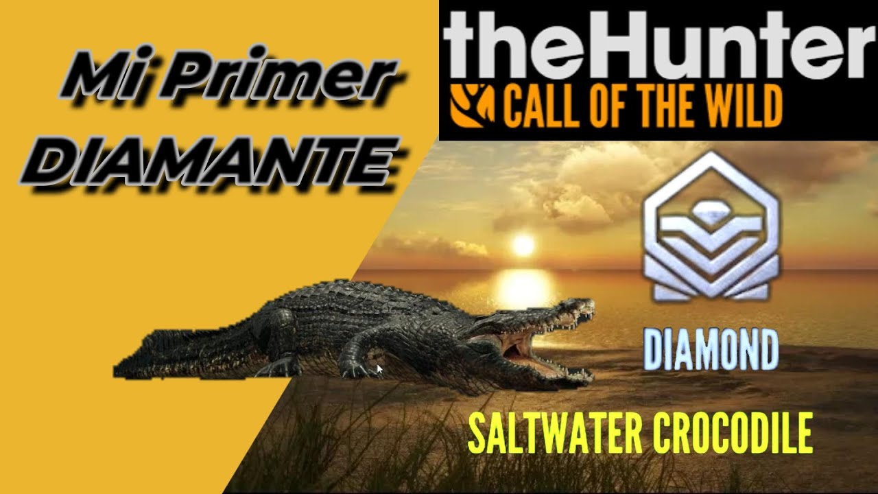 Primer Cocodrilo Diamante First Diamond Saltwater Crocodile YouTube