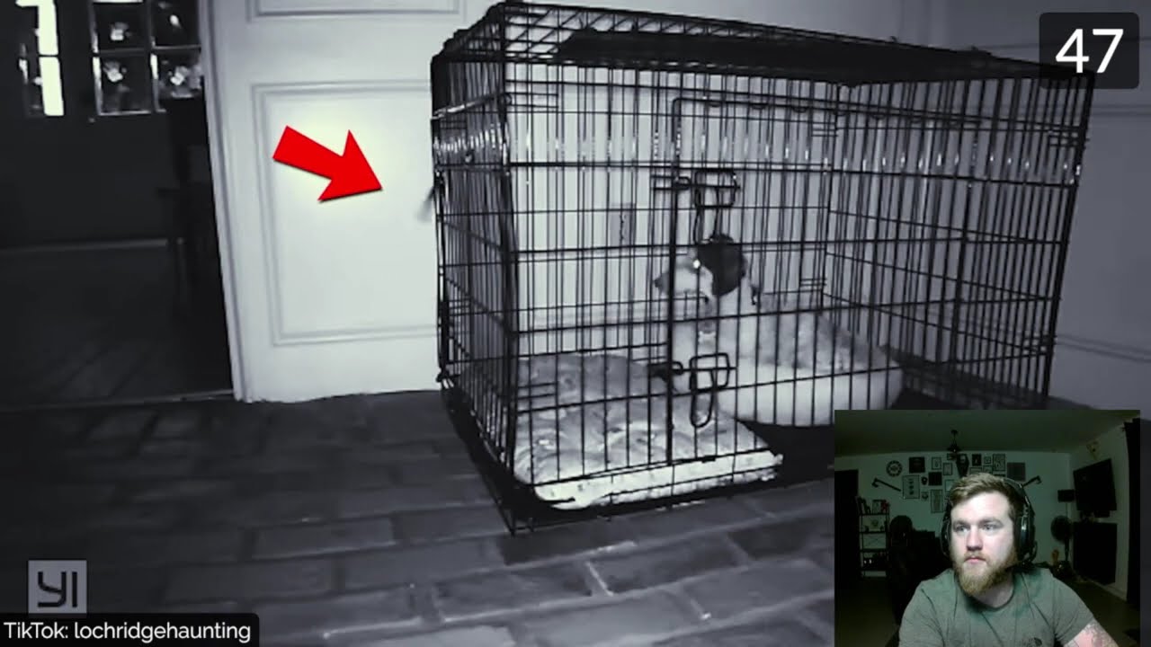 Kicking Off the Channel With a SCAREFEST!