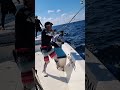 Want BIGGER Catches? Watch This TOP WATER Fishing Action Now