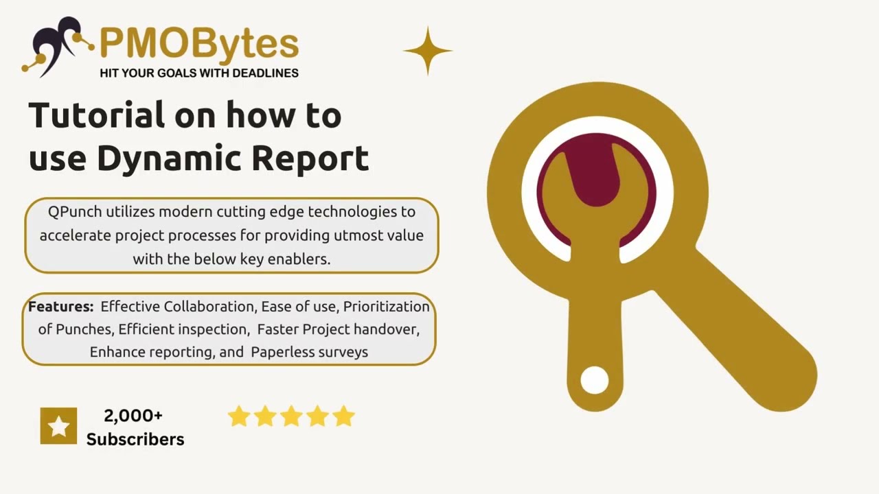 How to use Dynamic Report in QPunch